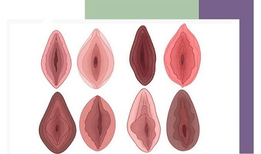 عمل زیبایی واژن چیست؟