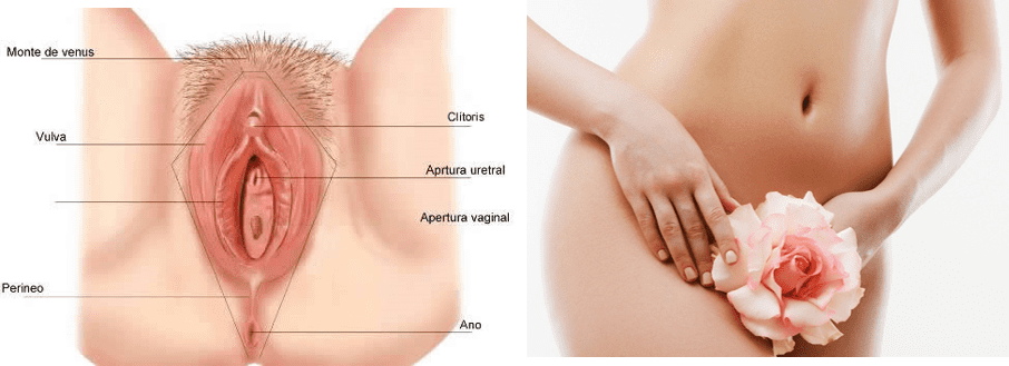 عمل زیبایی واژن حین زایمان طبیعی